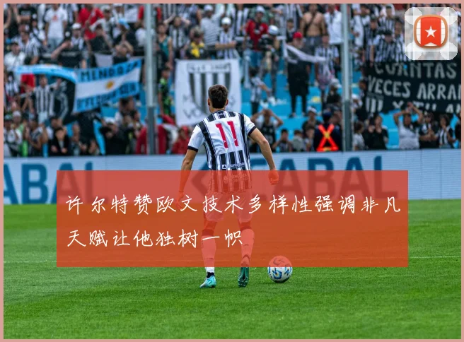 许尔特赞欧文技术多样性强调非凡天赋让他独树一帜