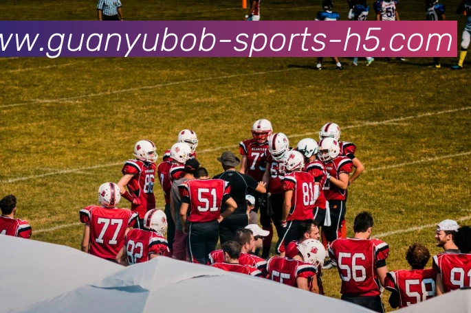 App Interface Preview