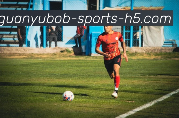 BOB体育APP 封面图